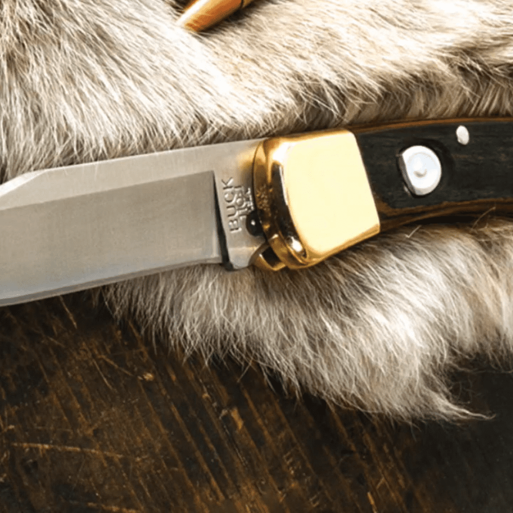 Buck Knives 110 Folding Hunter Knife