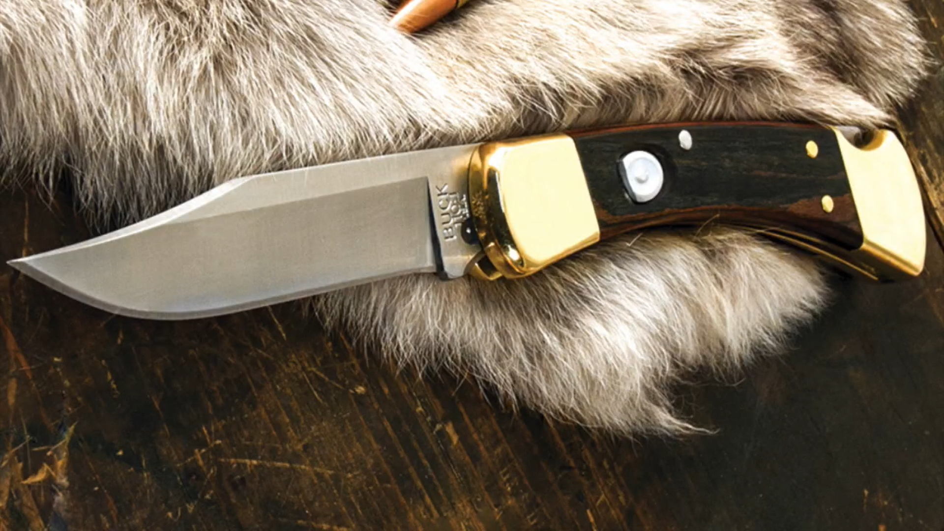 Buck Knives 110 Folding Hunter Knife